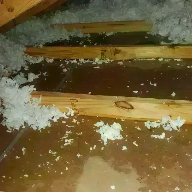 Attic Water Damage in Dunn, NC