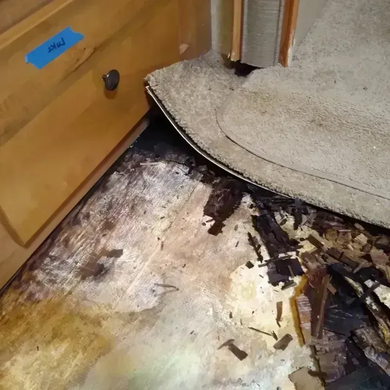 Best Wood Floor Water Damage Service in Dunn, NC